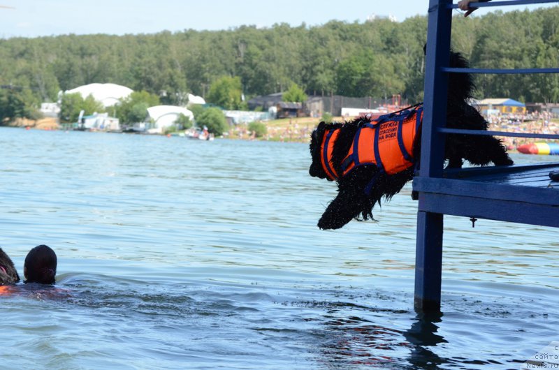 Фотография № 210766