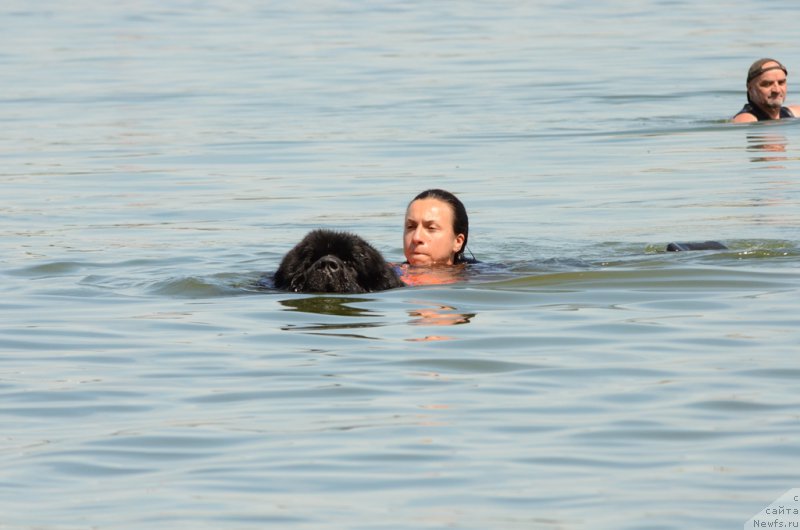 Фотография № 210767