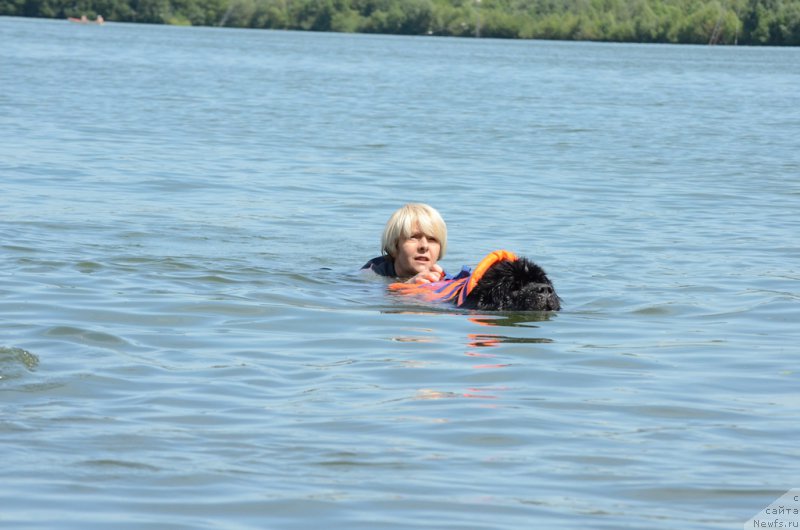 Фотография № 210770