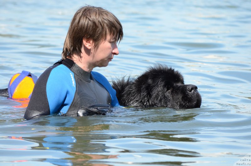 Фотография № 210775