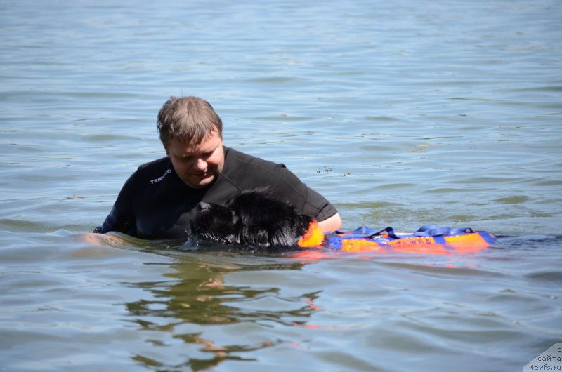 Фотография № 210777