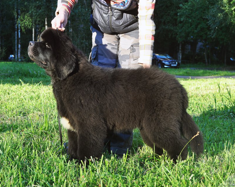 Фотография № 210822