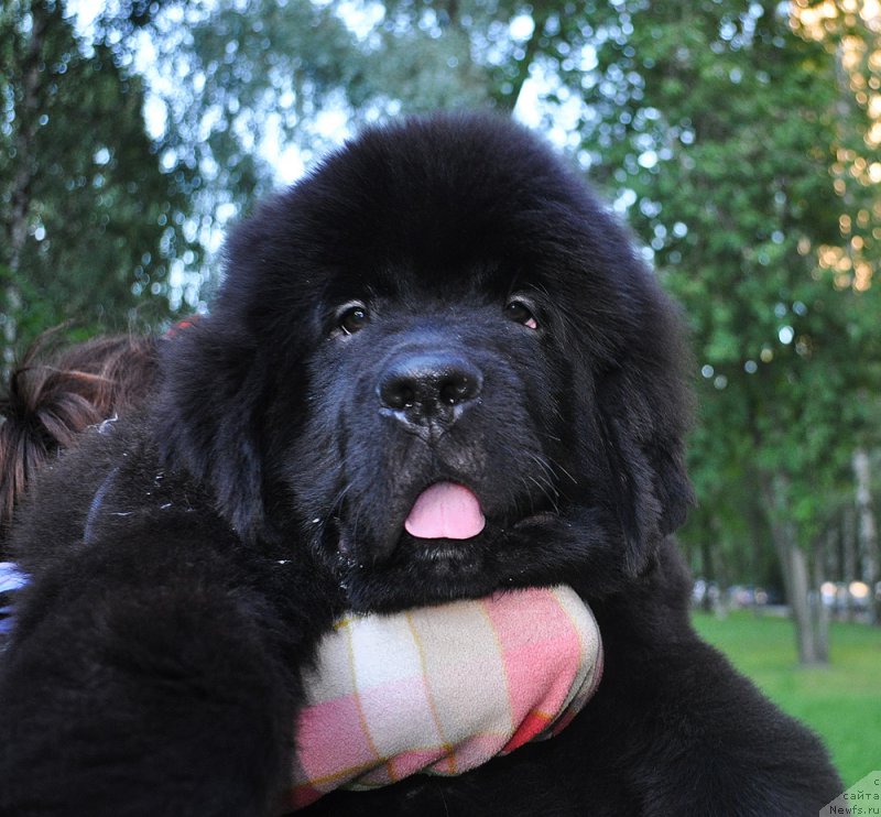 Фотография № 210825