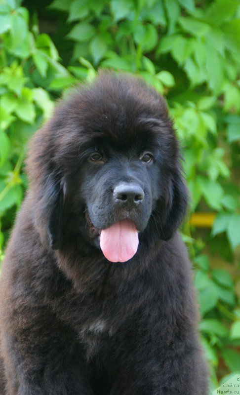 Фотография № 210877