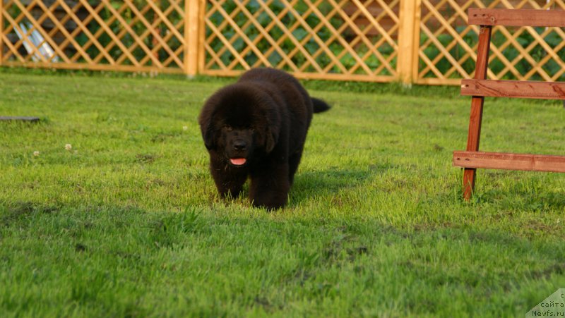 Фотография № 210886