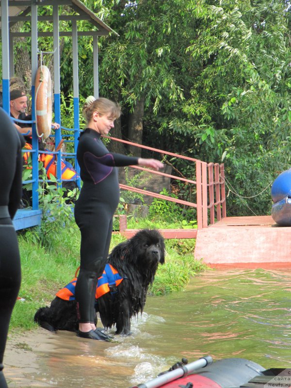 Фотография № 210904