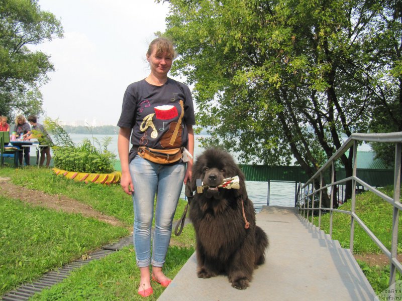 Фотография № 210905