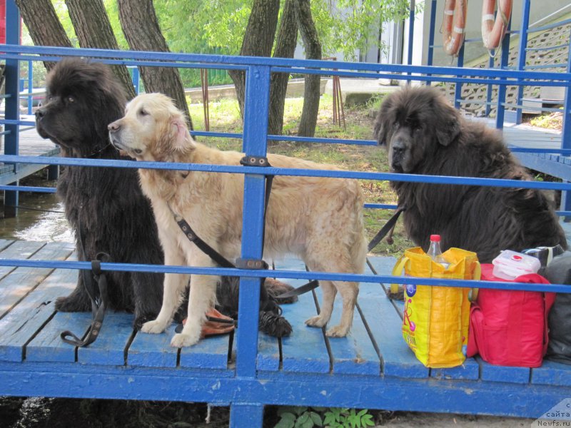 Фотография № 210906