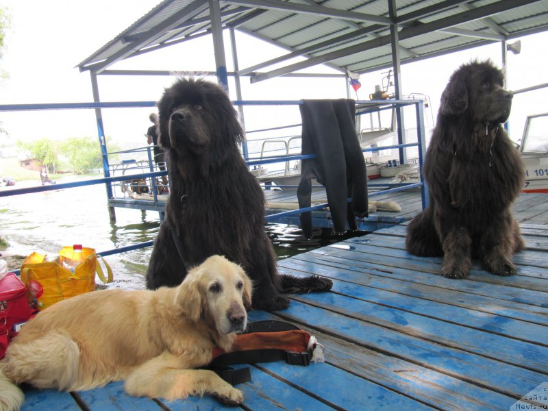 Фотография № 210908