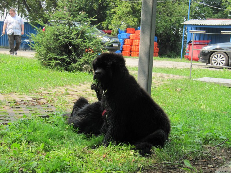 Фотография № 210909