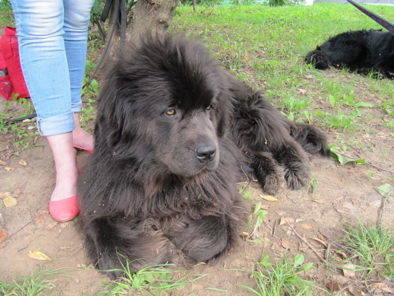 Фотография № 210910