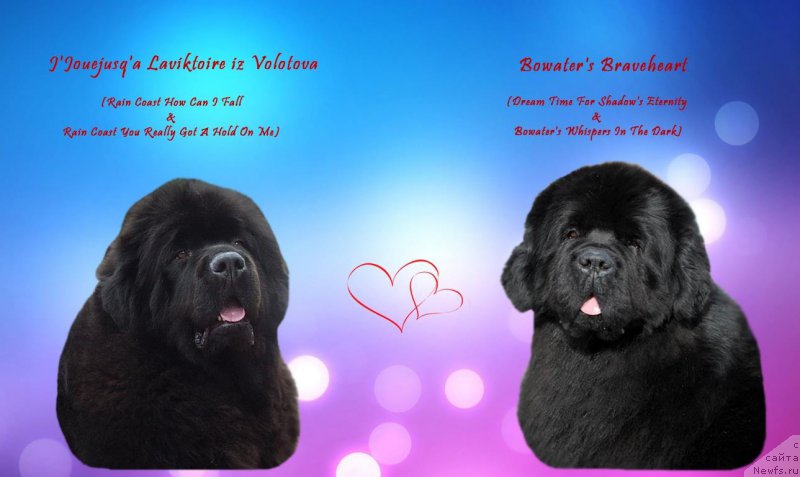 Фотография № 210915