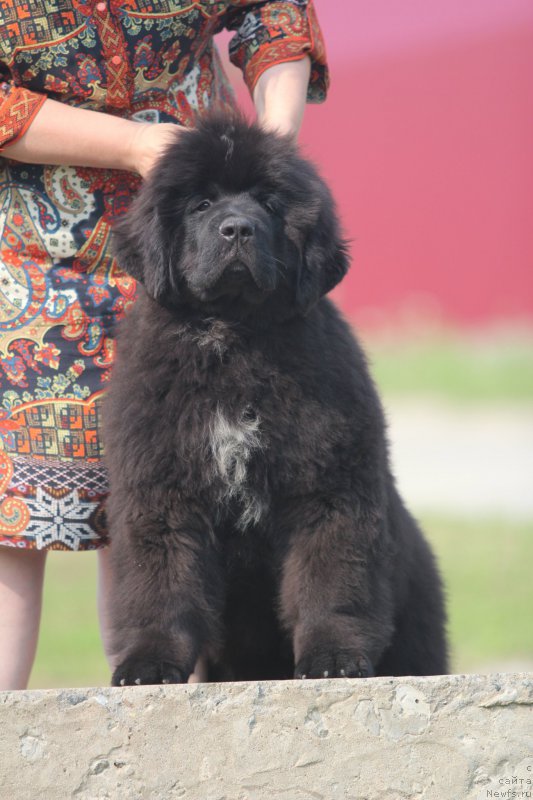 Фотография № 210938