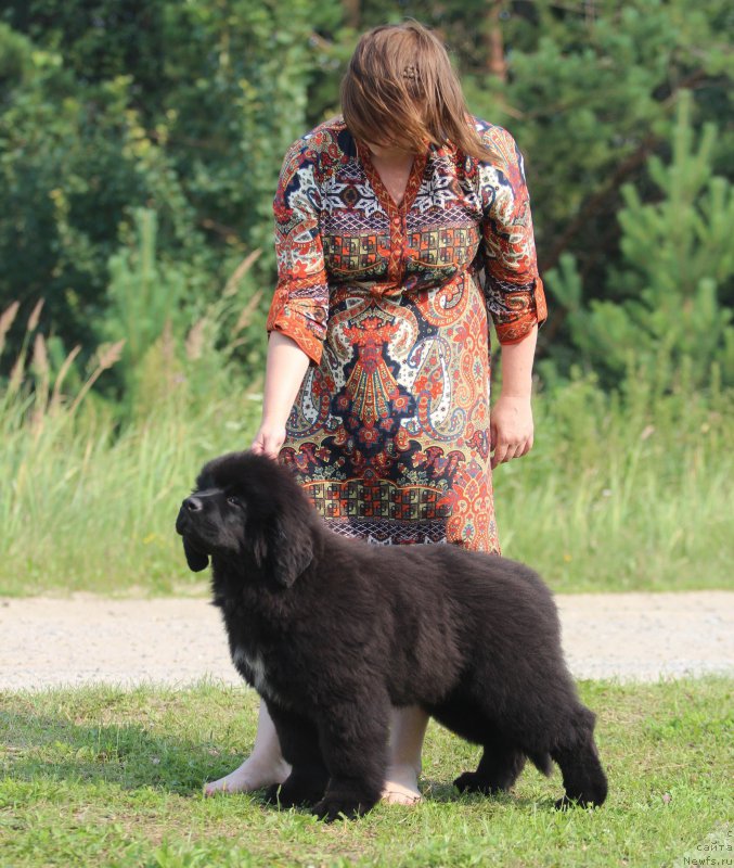 Фотография № 210941