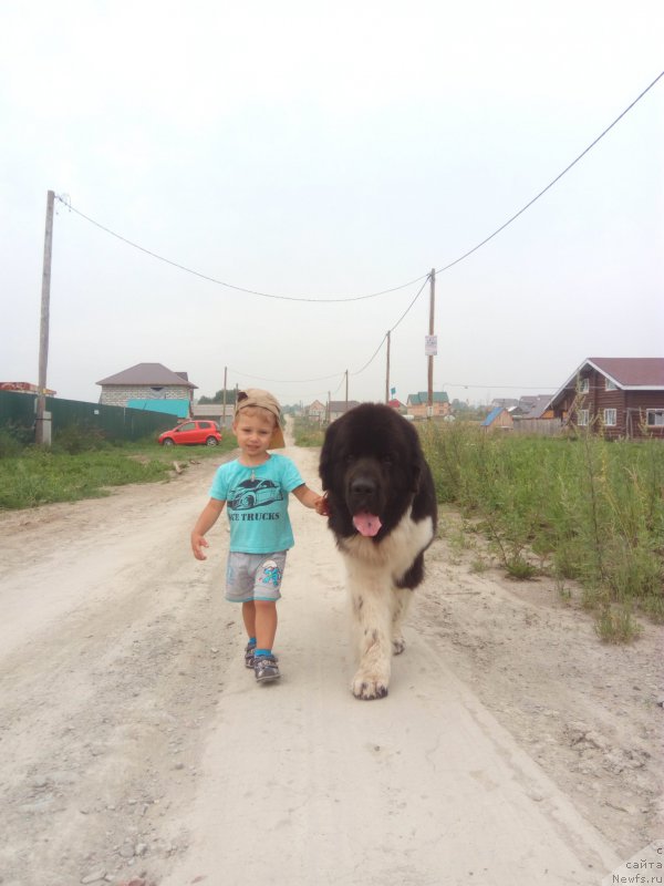 Фотография № 210944