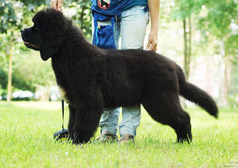 Фотография № 210965