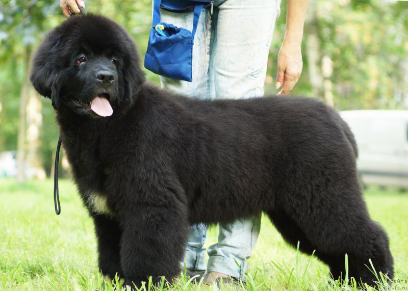 Фотография № 210966