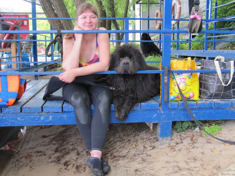 Фотография № 210974