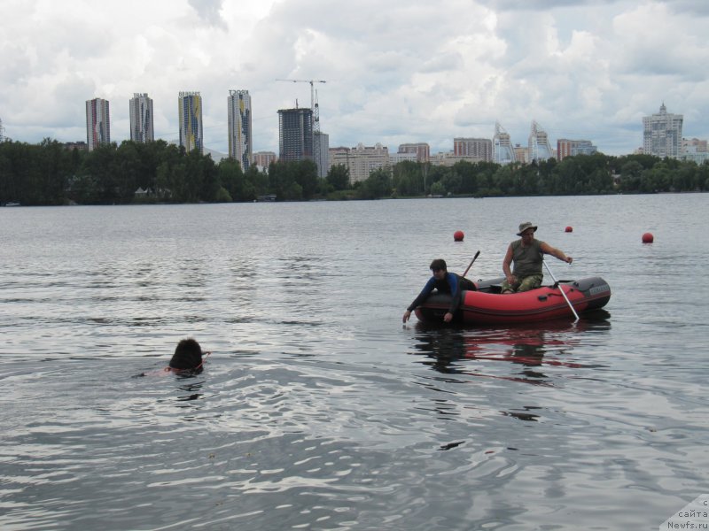Фото: ньюфаундленд Мелти Вейв Марин Тифея (Melty Wave Marine Tifeya), Елена Богданова