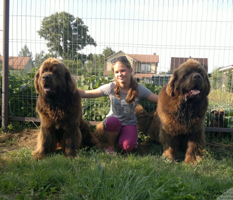 Фотография № 210988