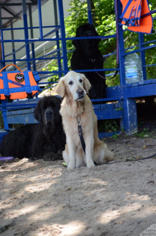 Фотография № 210999