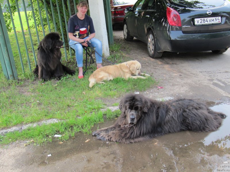 Фотография № 211002