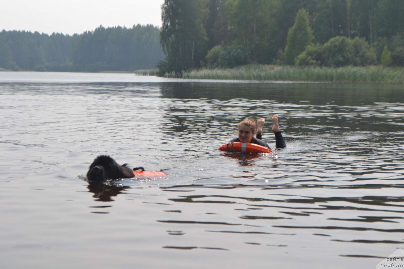 Фотография № 211010