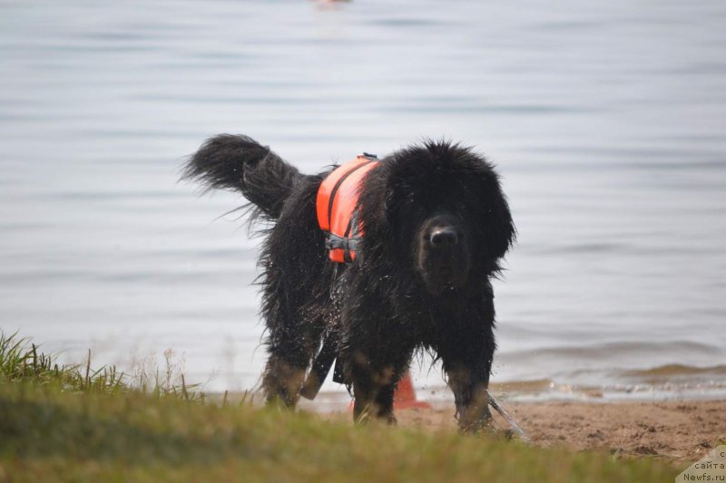 Фотография № 211011