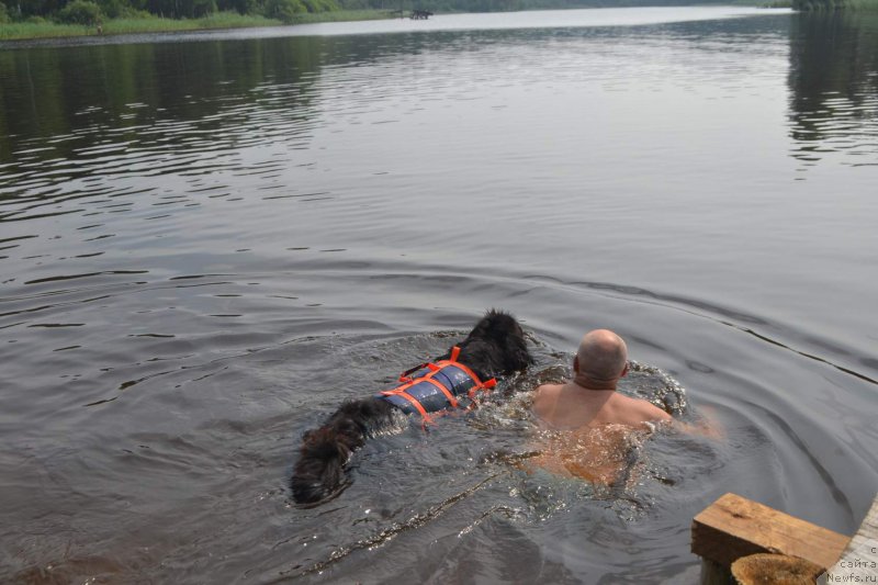 Фотография № 211012