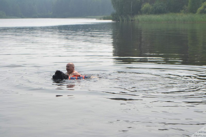 Фотография № 211013