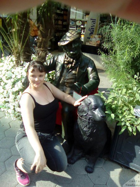 Фотография № 211015