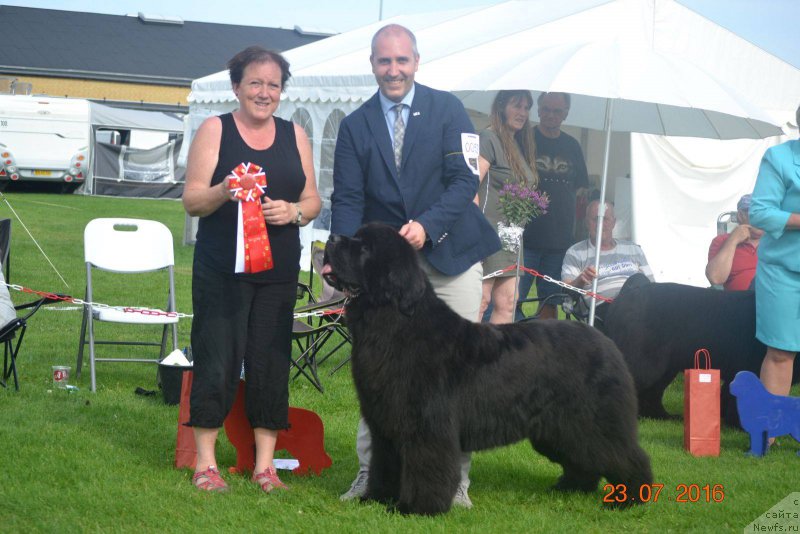 Фотография № 211025