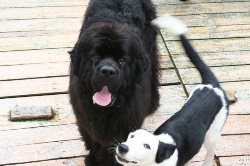 Фотография № 211026