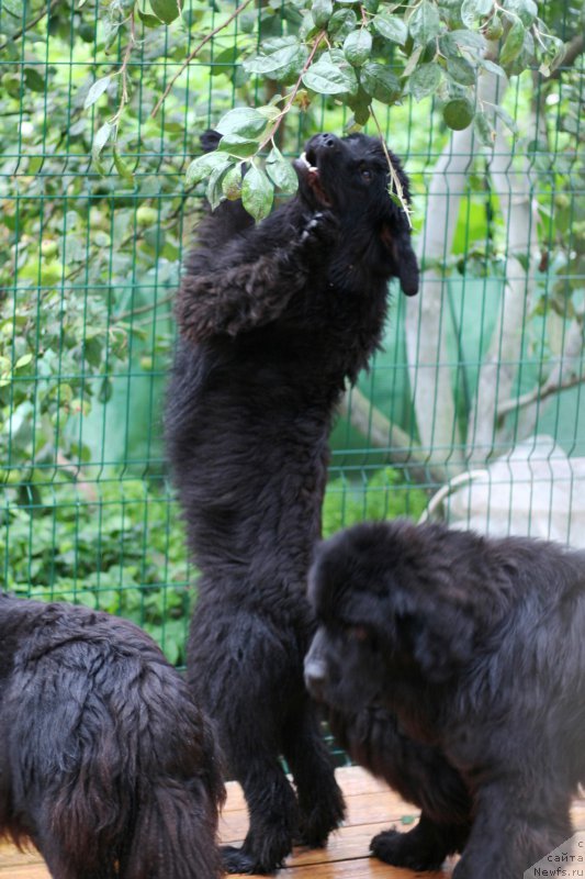 Фотография № 211032