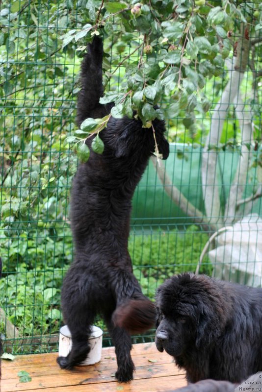 Фотография № 211033