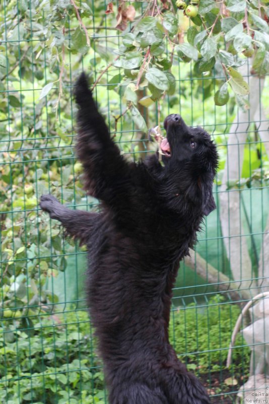 Фотография № 211034