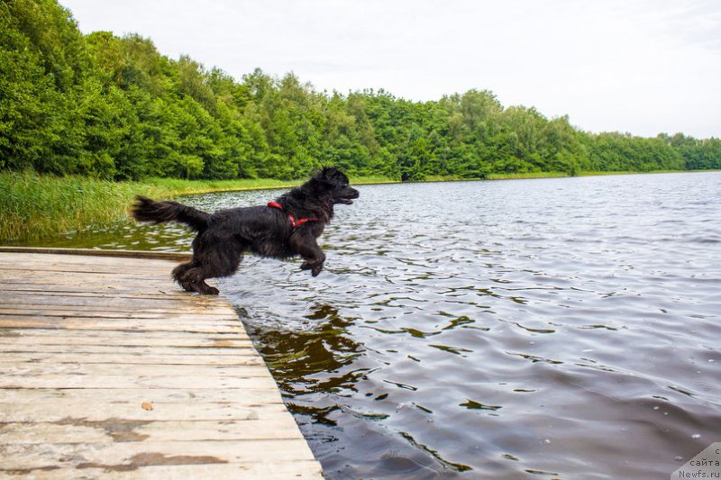 Фотография № 211044