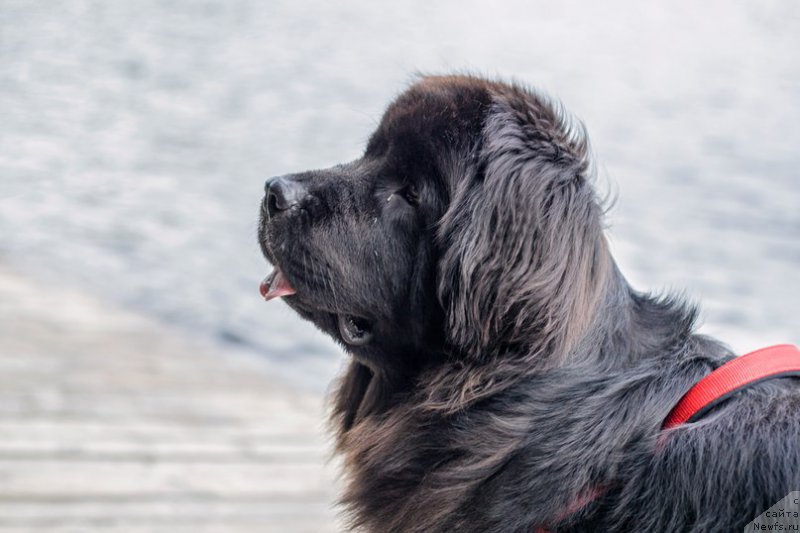 Фотография № 211045