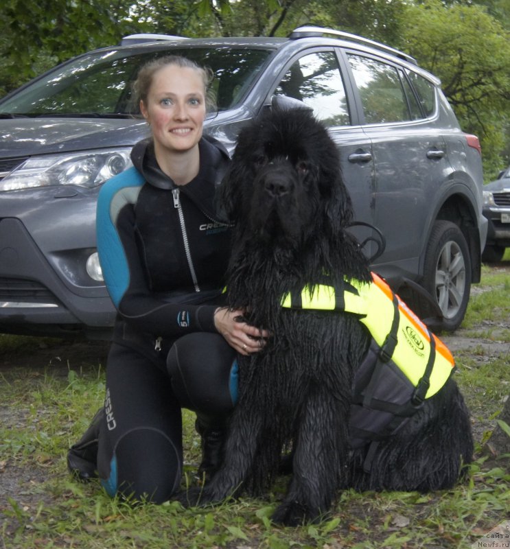 Фото: ньюфаундленд Love Inside Your Soul Moon Bear, Ксения Дудина