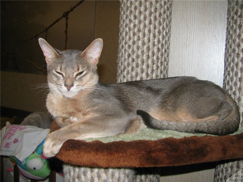 Фотография № 211058