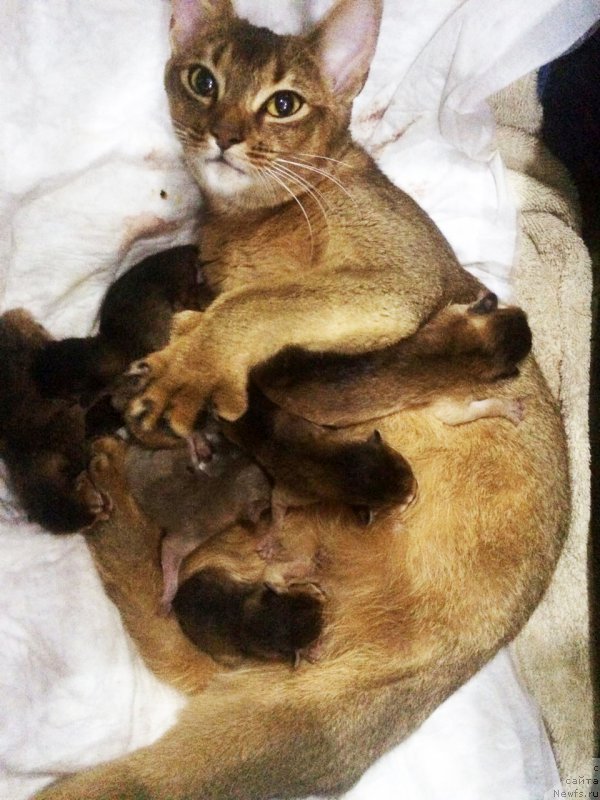 Фотография № 211059