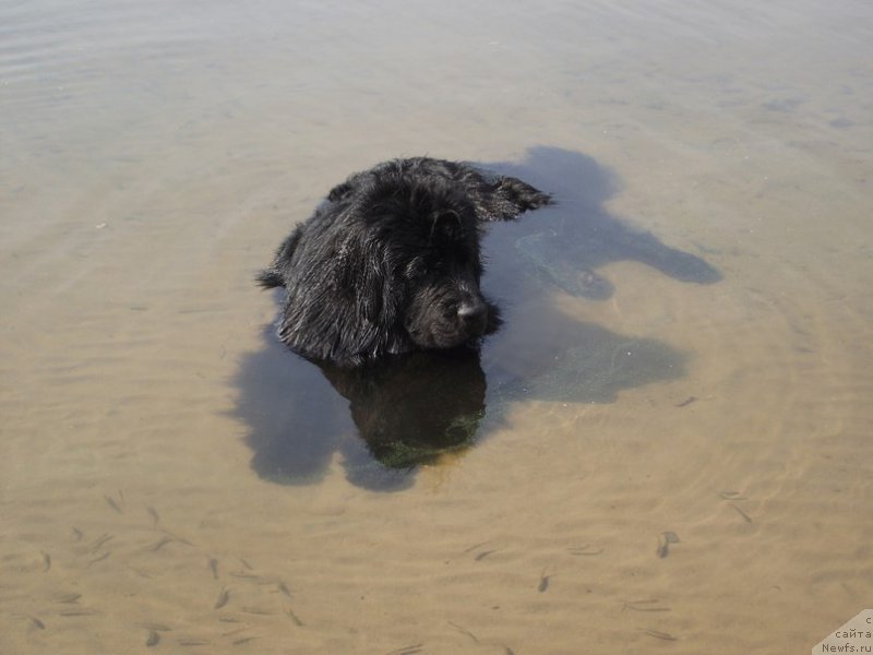 Фотография № 211077