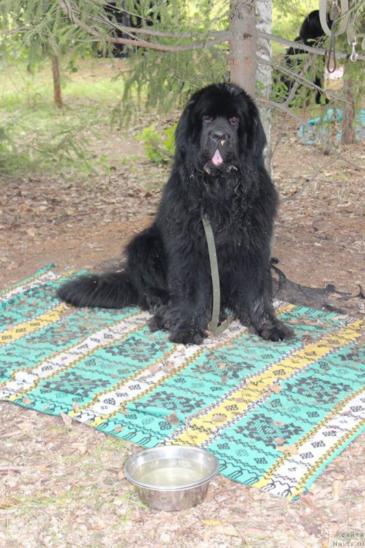 Фотография № 211091