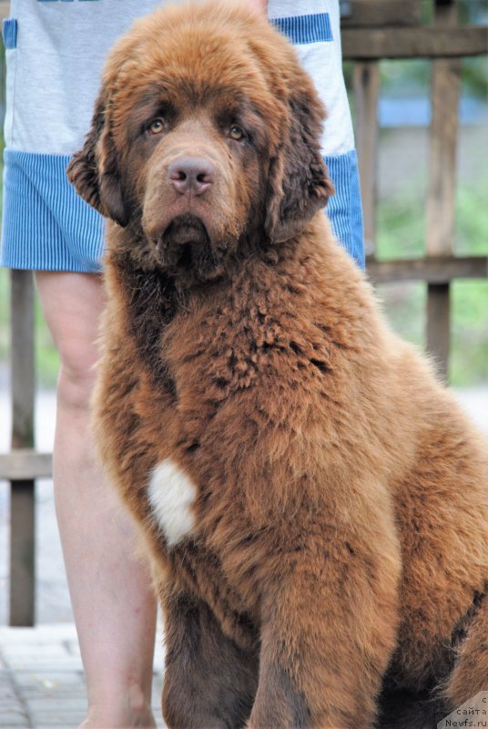 Фотография № 211101