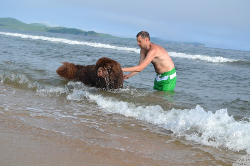 Фотография № 211109