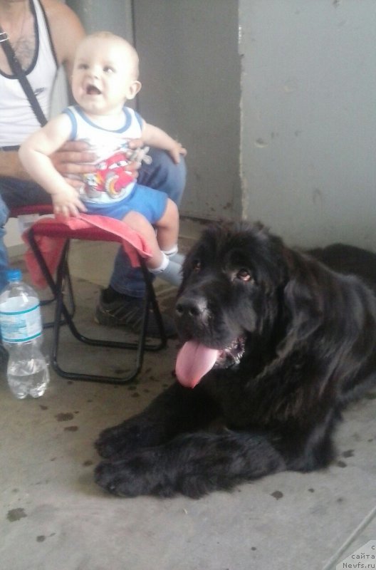 Фотография № 211113