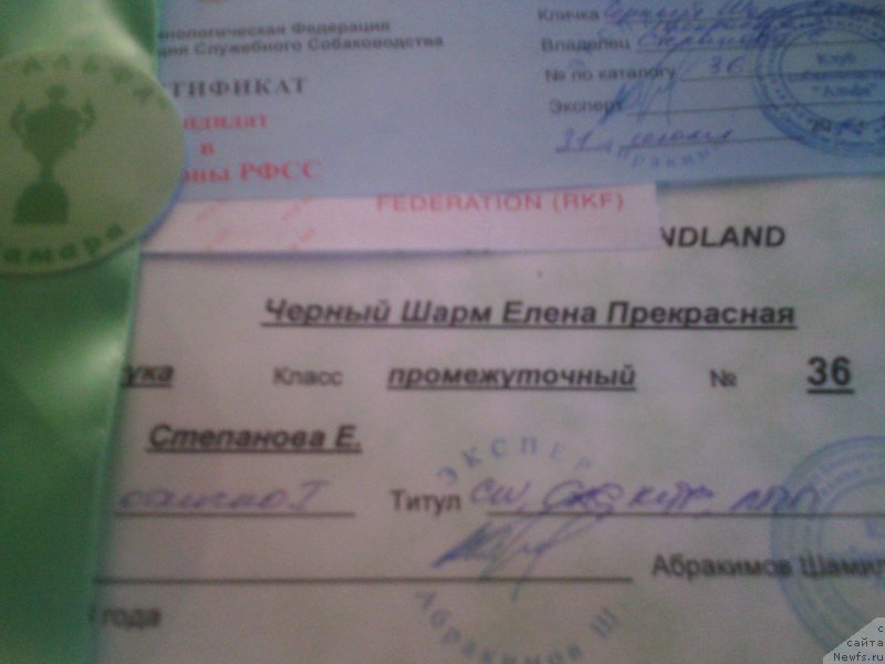 Фотография № 211124