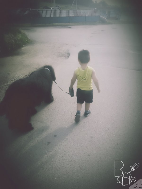 Фотография № 211137