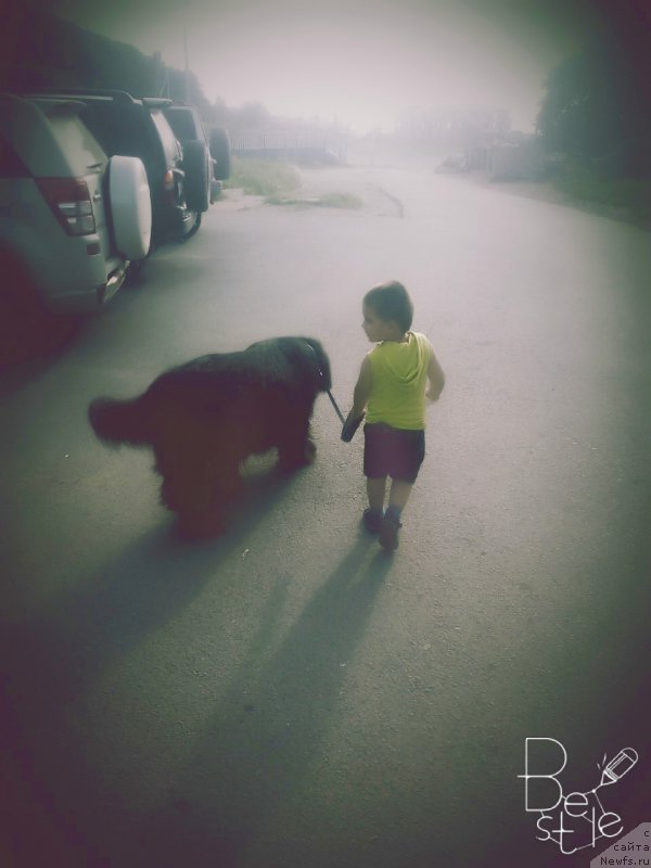 Фотография № 211138