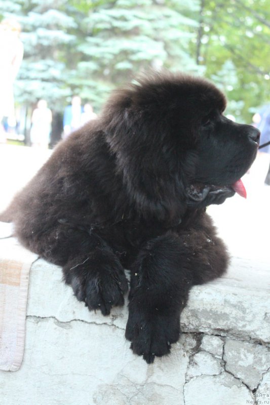 Фотография № 211156